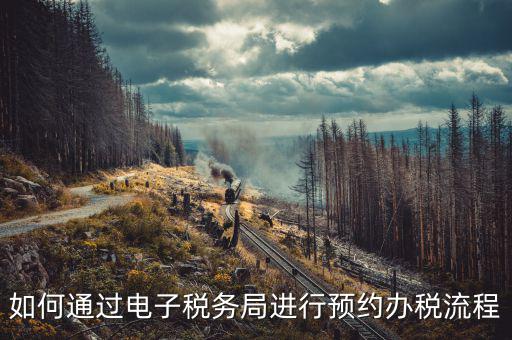 國稅局預(yù)約有什么，拿金稅盤去國稅前臺弄要預(yù)約嗎