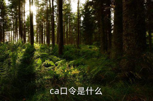 ca證書驗(yàn)證口令是什么，ca口令是什么