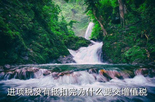進(jìn)項(xiàng)稅未抵扣為什么還要補(bǔ)交稅款，進(jìn)項(xiàng)稅沒(méi)有抵扣完為什么要交增值稅