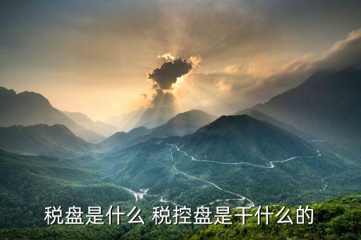 億企贏稅盤是什么，稅盤是什么 稅控盤是干什么的