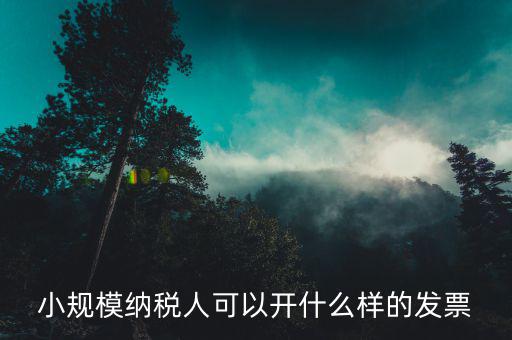 小規(guī)模領(lǐng)用什么發(fā)票，小規(guī)模納稅人可以開(kāi)什么樣的發(fā)票