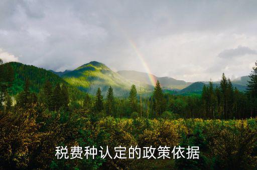 什么是稅費(fèi)種認(rèn)定信息查詢，稅費(fèi)種認(rèn)定信息在哪里查看