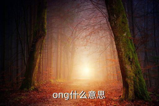 發(fā)票ong什么意思，ong什么意思