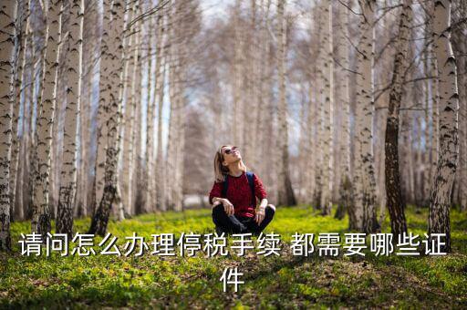 停供發(fā)票需要注意什么手續(xù)，停國(guó)稅要怎么辦理 要什么手續(xù)