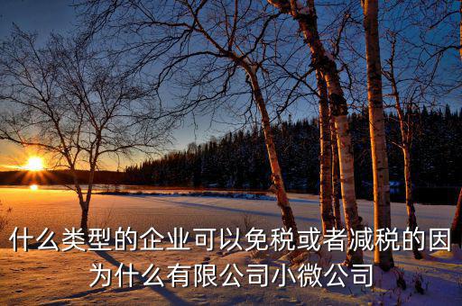 什么樣的企業(yè)可免稅，請問什么樣的公司可以得到免稅