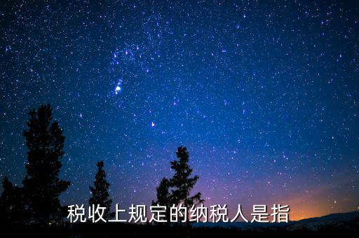 什么人是納稅人，納稅人的定義的什么