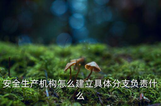 什么是三級(jí)分支機(jī)構(gòu)，英語三級(jí)發(fā)證機(jī)構(gòu)是什么