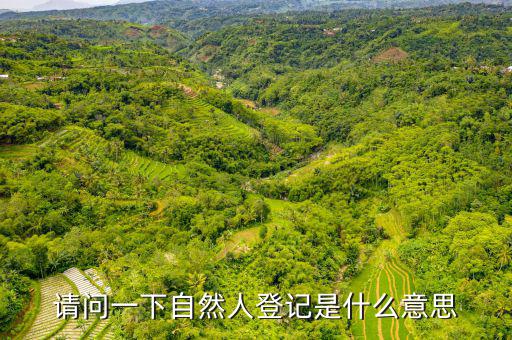 自然人登錄是什么，自然人密碼是什么