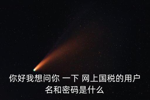 稅務(wù)登記密碼是什么，國稅第一次網(wǎng)上申報的登陸密碼是什么