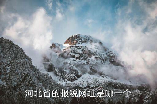 河北稅務(wù)官網(wǎng)是什么，怎么打開河北省國(guó)稅網(wǎng)站