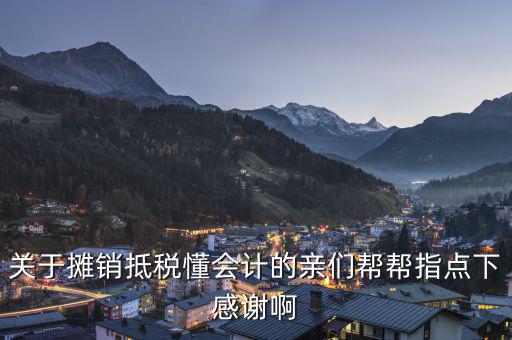 關(guān)于攤銷(xiāo)抵稅懂會(huì)計(jì)的親們幫幫指點(diǎn)下感謝啊