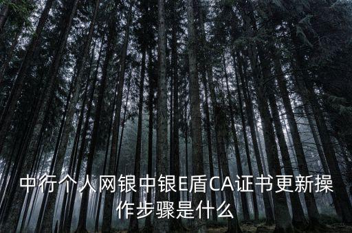 升級(jí)ca需要什么，CA證書(shū)怎么從副盤(pán)升級(jí)成正盤(pán)
