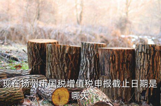 揚州10月稅務(wù)申報什么時候，個人所得稅10月份申報期限是多少