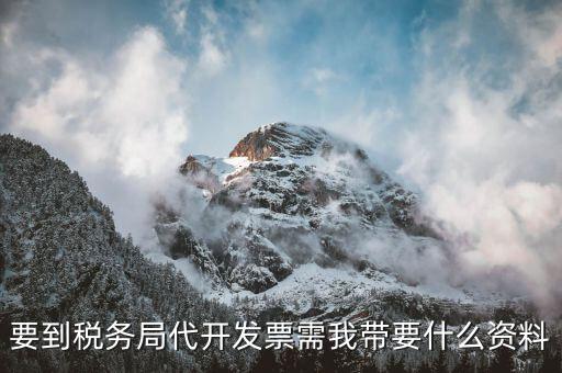 個人稅務(wù)局代開發(fā)需要什么資料，稅局代開發(fā)發(fā)票需要帶什么資料