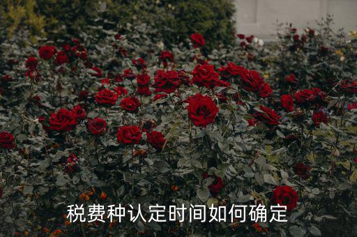 稅種認(rèn)定后什么時(shí)間申報(bào)，稅務(wù)局變更稅費(fèi)種認(rèn)定變更后多久可以可以報(bào)稅