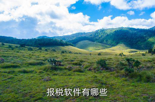 四川報稅軟件叫什么名字，網(wǎng)上報稅的那個軟件叫什么呀