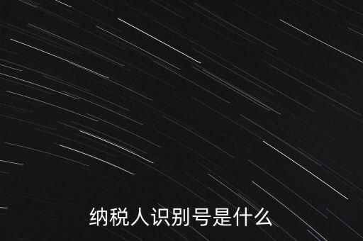 山西國(guó)稅納稅人識(shí)別號(hào)是什么，納稅人識(shí)別號(hào)是什么