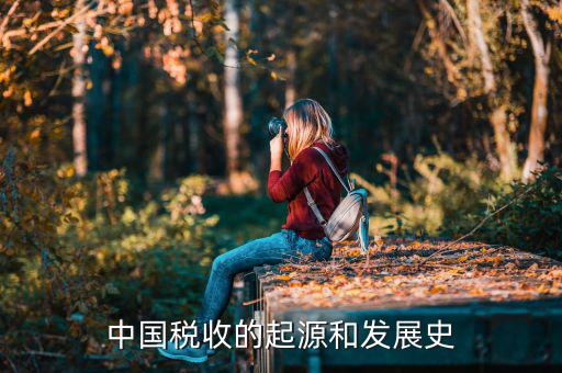 稅收產(chǎn)生于什么社會(huì)，稅收的起源