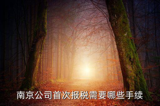 南京什么公司在地稅局交稅，哪些稅在國稅局交哪些在地稅局交