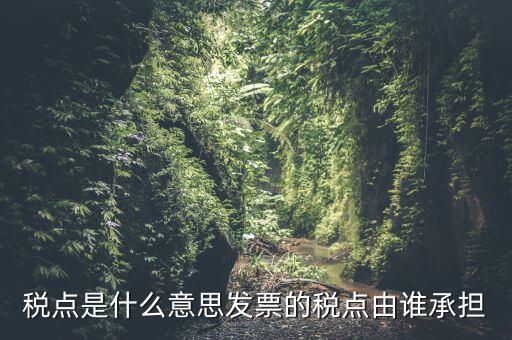 稅點由什么決定，稅點是什么意思