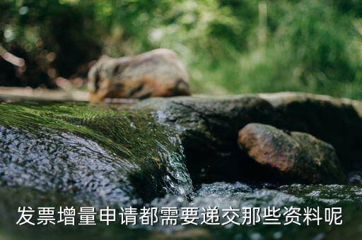 發(fā)票增量需要什么資料，發(fā)票增量申請都需要遞交那些資料呢