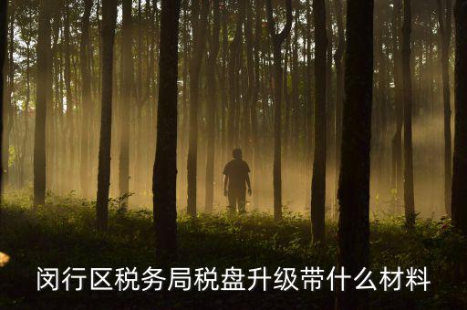 去升級(jí)稅控盤要帶什么，去國(guó)稅稅控盤升級(jí)需要帶哪些材料