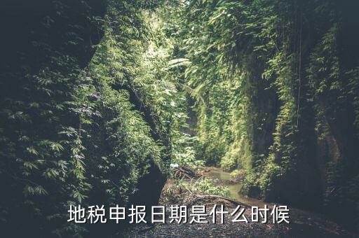地稅清稅報(bào)告時(shí)間是什么原因，每月稅務(wù)申報(bào)時(shí)間什么時(shí)候