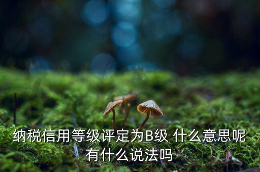 國稅b級信用是什么意思，納稅信用等級評定為B級 什么意思呢有什么說法嗎