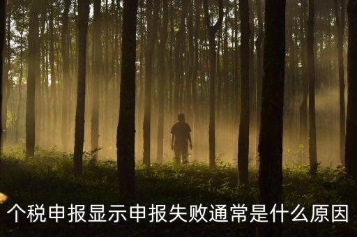 個稅申報系統(tǒng)為什么不能反饋，為什么個人所得稅申報以后反饋信息失敗