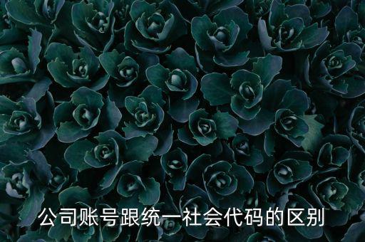 賬號上的統(tǒng)一社會代碼是什么意思，統(tǒng)一社會信用代碼有什么用