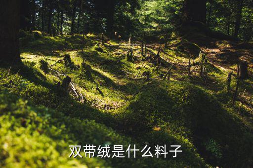 雙代絨是什么，雙面絨是什么