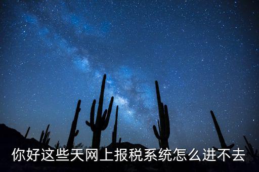 為什么個稅系統(tǒng)打不開，你好這些天網(wǎng)上報稅系統(tǒng)怎么進不去