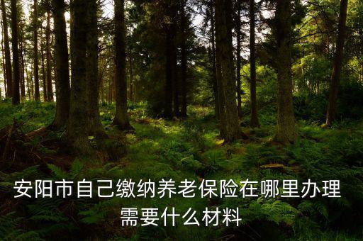 安陽(yáng)地稅局交個(gè)人保險(xiǎn)在什么地方，安陽(yáng)市醫(yī)保交費(fèi)在哪里地稅局