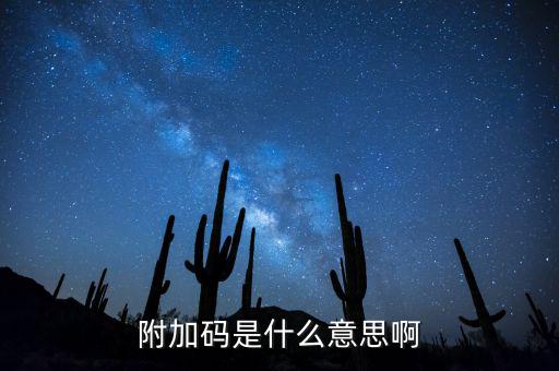 遼寧查發(fā)票有一個附加碼是什么，發(fā)票真?zhèn)尾樵兇a是什么
