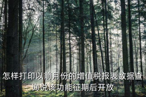 46月份征期是什么意思，怎樣打印以前月份的增值稅報表數(shù)據(jù)查詢說該功能征期后開放