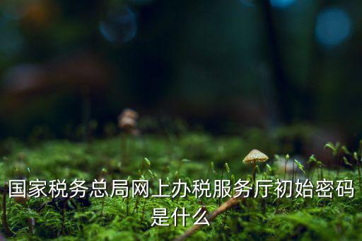 安徽個稅申報密碼是什么意思，國家稅務(wù)總局網(wǎng)上辦稅服務(wù)廳初始密碼是什么