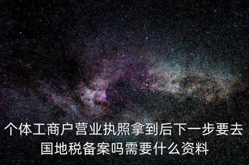 個(gè)體工商戶(hù)營(yíng)業(yè)執(zhí)照拿到后下一步要去國(guó)地稅備案嗎需要什么資料