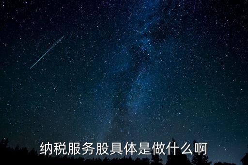 納稅服務(wù)股是什么意思，納稅服務(wù)股具體是做什么啊