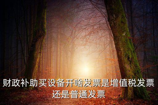 財(cái)政補(bǔ)助買設(shè)備開(kāi)啥發(fā)票是增值稅發(fā)票還是普通發(fā)票