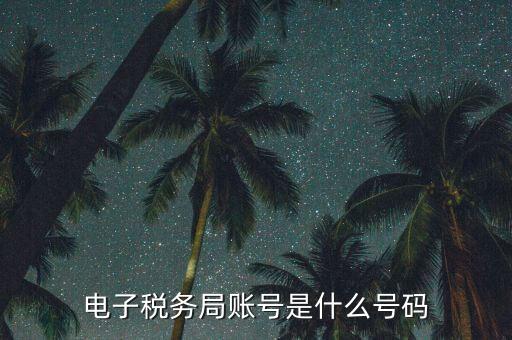 電子稅務登錄賬號是什么，電子稅務局賬號是什么號碼
