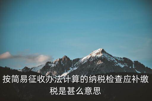 簡易征收什么意思，按簡易征收辦法計算的納稅檢查應(yīng)補(bǔ)繳稅是甚么意思