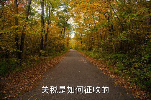 依據(jù)什么征收關(guān)稅，關(guān)稅是如何征收的