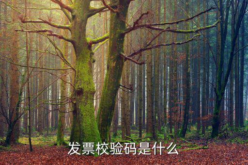 電子發(fā)票 查詢的驗(yàn)證碼是什么，發(fā)票校驗(yàn)碼是什么