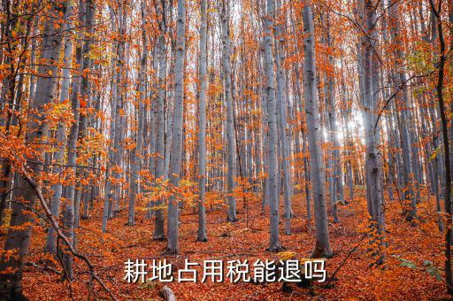 耕地占用稅什么情況可以退，占用耕地罰款后拆遷還能退嗎