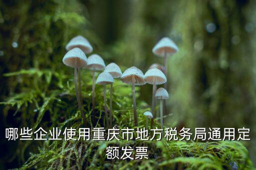 定額發(fā)票什么行業(yè)，哪些企業(yè)能買手撕定額發(fā)票小規(guī)模生產(chǎn)企業(yè)已經(jīng)開了普通發(fā)票能買