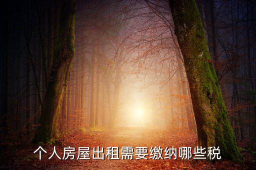 個人租房交什么稅，個人出租房屋要交什么稅費