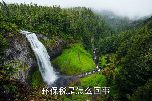 環(huán)保稅和什么稅培訓(xùn)，求問(wèn)環(huán)境稅環(huán)保稅環(huán)境保護(hù)稅有區(qū)別嗎