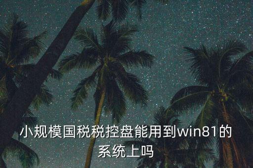 小規(guī)模國(guó)稅稅控盤(pán)能用到win81的系統(tǒng)上嗎