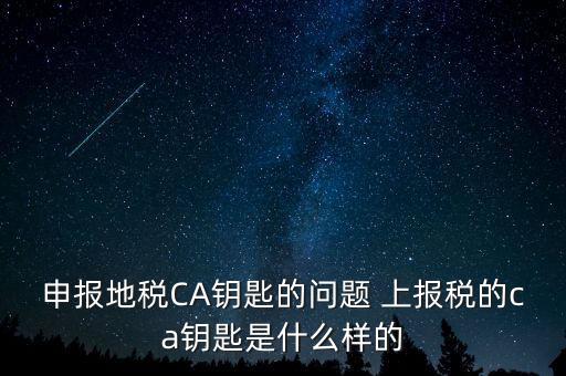ca鑰匙是什么，申報地稅CA鑰匙的問題 上報稅的ca鑰匙是什么樣的