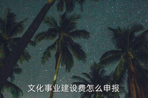 申報(bào)系統(tǒng)文化建設(shè)申報(bào)是什么時(shí)候，文化事業(yè)建設(shè)稅怎么申報(bào)